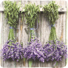 Böhmen Geschenke Lavendel fotografiert dekorative Fliesen 10 x 10 cm