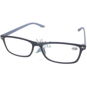 Berkeley +3 Brille schwarz schwarz 1 Stück MC2135
