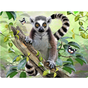 Prime3D Postkarte - Lemur 16 x 12 cm