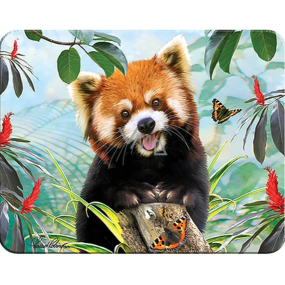 Prime3D Magnet - Panda Rot 9 x 7 cm