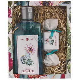Böhmen Geschenke Kaktus Oliven- und Traubenöl Duschgel 200 ml + handgemachte Seife 30 g Kosmetikbox
