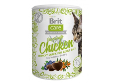Brit Care Cat Snack Knuspriger Hühnergenuss mit Sanddorn und Heidelbeeren Ergänzungsfutter für erwachsene Katzen 100 g