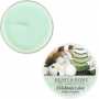 Heart & Home Beruhigende Aloe Soja Duftkerze in einer Tasse brennt bis zu 12 Stunden 36g