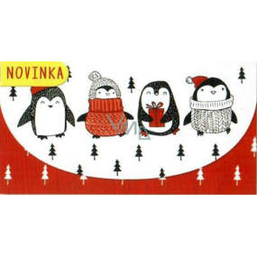 Nekupto Grußkartenumschlag für Geld Weihnachten 116 x 220 mm Pinguine