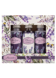Bohemia Gifts Lavendel Duschgel 50 ml + Shampoo 50 ml + Schaum 50 ml, Kosmetikset