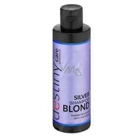 Professionelle Haarpflege Destivii Silver Shampoo für blondes Haar 200 ml