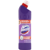 Domestos Extended Power Lavender Frisches flüssiges Desinfektionsmittel und Reinigungsmittel 750 ml