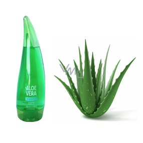 Xhc Aloe Vera Feuchtigkeitsspendendes Haarshampoo 250 ml