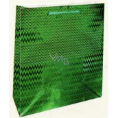 Nekupto Geschenk Papiertüte Hologramm Standard 23 x 18 x 10 cm Grün THM