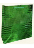 Nekupto Geschenk Papiertüte Hologramm Standard 23 x 18 x 10 cm Grün THM