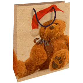 Nekupto Geschenk Kraftbeutel 28 x 37 cm Weihnachten mit Teddybär 600 WKHL