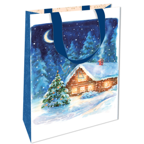 Nekupto Geschenk Papiertüte mit Prägung 17,5 x 11 x 8 cm Weihnachtsblau mit Cottage WLFS 1988