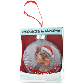 Albi Glas Weihnachtsschmuck mit Tieren - Yorkshire Terrier 7,5 cm x 8 cm x 3,6 cm