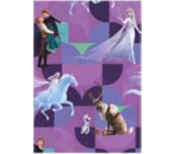Ditipo Geschenkpapier 70 x 200 cm Weihnachten Disney Ice Kingdom lila
