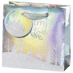 BSB Luxus-Geschenktüte aus Papier 14,5 x 15 x 6 cm Weihnachtshologramm mit Schneelandschaft VDT 453 CD