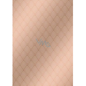 Ditipo Geschenkpapier 70 x 100 cm Trendy Colours braun 2 Blatt