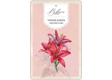 Bohemia Gifts Aromatisch duftende Karte Rote Blumen zarter und reiner Duft 10,5 x 16 cm