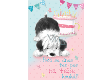 Ditipo Playing Birthday Card Warum schaut dich der Hund heute so an? Lucie Vondráčková Fremder Hund 224 x 157 mm