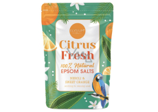 Elysium Spa Citrus Fresh Badesalz 450 g
