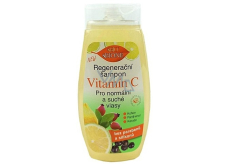 Bione Cosmetics Vitamin C regenerierendes Shampoo für normales und trockenes Haar 260 ml