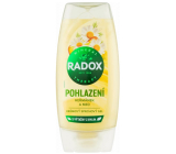 Radox Caress Duschgel Kamille und Honig 225 ml