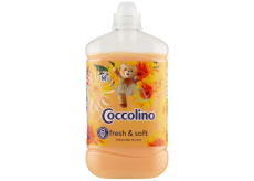 Coccolino Orange Rush konzentrierter Weichspüler 68 Dosen 17 l