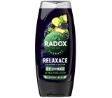 Radox Men 3in1 Relaxation Brombeere und Ingwer Duschgel für Männer 225 ml