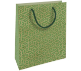 Nekupto Geschenk-Kraftbeutel 18,7 x 24,3 x 8 cm Grüne Grafik