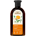 Green Pharmacy Shampoo für fettiges Haar mit Ringelblume und Rosmarin 350 ml