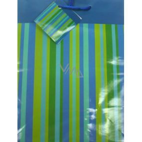 Nekupto Geschenk Papiertüte 23 x 18 x 10 cm Streifen grün-blau 1 Stück 32240