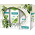 Palmolive Olivenmilch Duschgel 250 ml + Seife 300 ml + Shampoo 200 ml, Kosmetikset