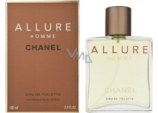 Chanel Allure Homme EdT 100 ml Eau de Toilette Damen