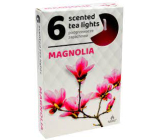 Teelichter Magnolie duftende Teelichter 6 Stück