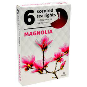 Teelichter Magnolie duftende Teelichter 6 Stück
