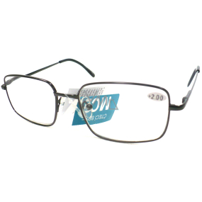 Berkeley Eyeglasses +3,0 Black Metal MC2 1 Stück ER5050
