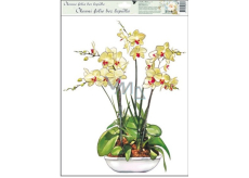 Fensterfolie ohne Leim Orchidee gelb-weiß 42 x 30 cm