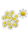 Filzblumen mit weißem Dekorationsaufkleber 3,5 cm in einer Schachtel mit 18 Stück