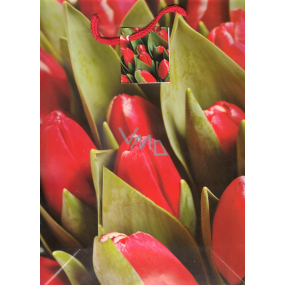 Nekupto Geschenk Papiertüte 32,5 x 26 x 13 cm Rote Tulpen