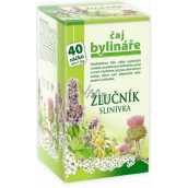 Vermittler Kräuterkenner Váňa Gallenblase und Bauchspeicheldrüsentee 40 x 1,6 g