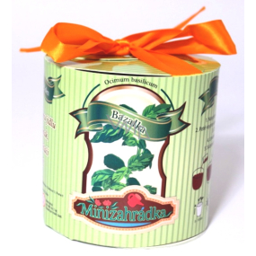 Albi Mini Garden Basil Roller Geschenkverpackungsset für den Anbau von Kräutern