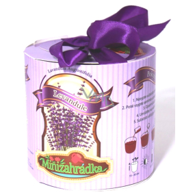 Albi Mini Garten Lavendel Roller Geschenkverpackungsset für den Anbau von Kräutern