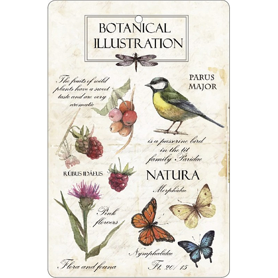 Böhmen Geschenke Aromatische Duftkarte Natura 10,5 x 16 cm