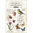 Böhmen Geschenke Aromatische Duftkarte Natura 10,5 x 16 cm