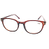Berkeley Lesebrille +2 braun 1 Stück MC2 ER4048