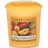 Yankee Candle Mango Pfirsichsalsa - Votivkerze mit Mango- und Pfirsichsalsa-Duft 49 g