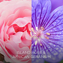 Air Wick Botanica Exotische Rose und Afrikanische Geranie Duftkerze Glas, Brenndauer bis zu 40 Stunden 205 g