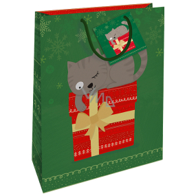 Nekupto Geschenk Papiertüte 32,5 x 26 x 13 cm Weihnachtsgrün mit Katze WBL 1954 50