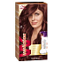 Wella Wellaton Foam Haarfarbe 4/6 Rotwein