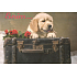 Alvarak Liebeswunsch Giga Dog 50 x 30 cm