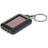 Solar Taschenlampe Schlüsselbund 1 Stück 4243